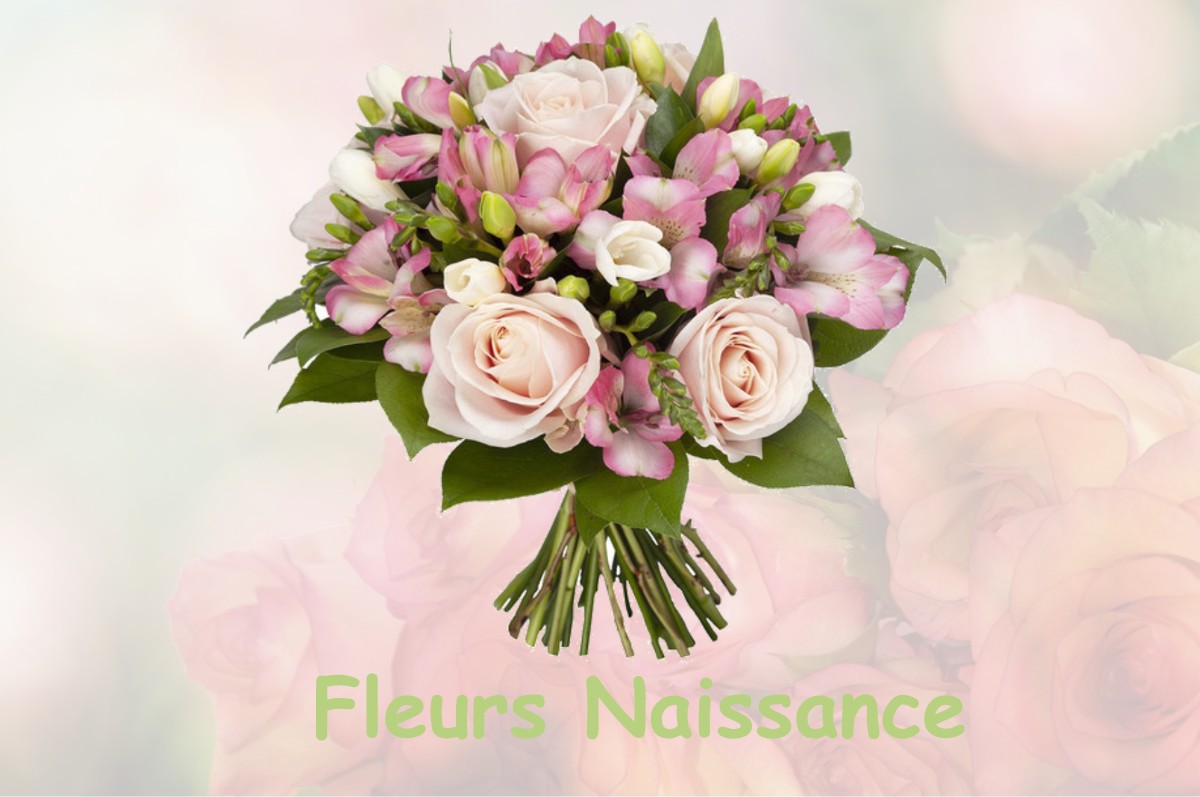 fleurs naissance AVESNES-CHAUSSOY