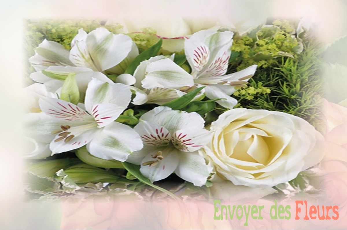 envoyer des fleurs à à AVESNES-CHAUSSOY
